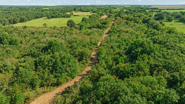 TBD FR 194, Blossom, TX 75416