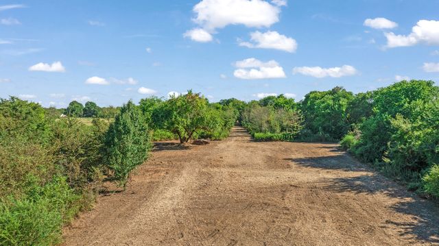 TBD FR 194, Blossom, TX 75416