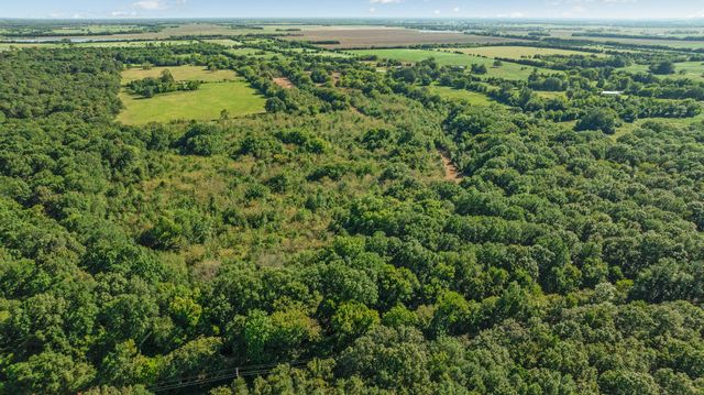 TBD FR 194, Blossom, TX 75416