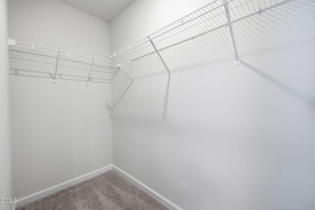 1011 Hemlock Cone Way, Morrisville, NC 27560