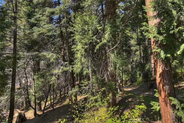 28730 Potomac, Lake Arrowhead, CA 92352