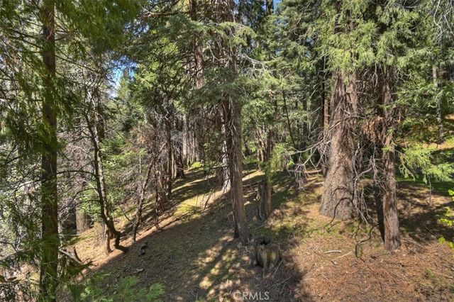 28730 Potomac, Lake Arrowhead, CA 92352