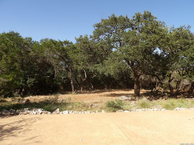 204 FALLING HLS, New Braunfels, TX 78132