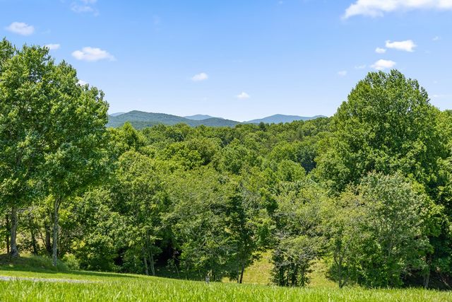 171 Big Valley Drive, Morganton, GA 30560