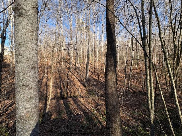 0 Gold View Drive, Dahlonega, GA 30533