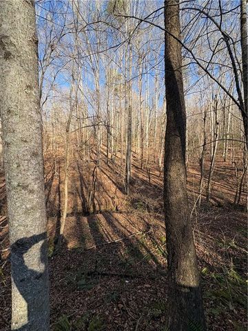 0 Gold View Drive, Dahlonega, GA 30533