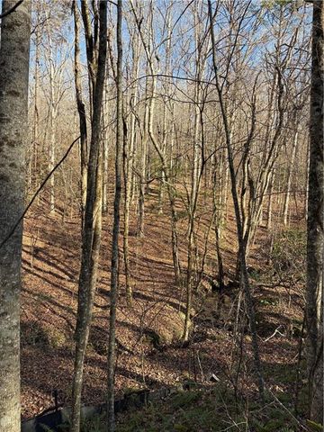 0 Gold View Drive, Dahlonega, GA 30533