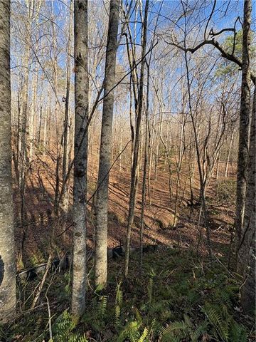 0 Gold View Drive, Dahlonega, GA 30533