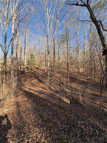 0 Gold View Drive, Dahlonega, GA 30533