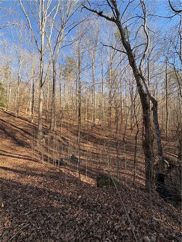 0 Gold View Drive, Dahlonega, GA 30533