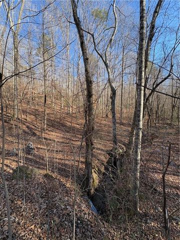 0 Gold View Drive, Dahlonega, GA 30533