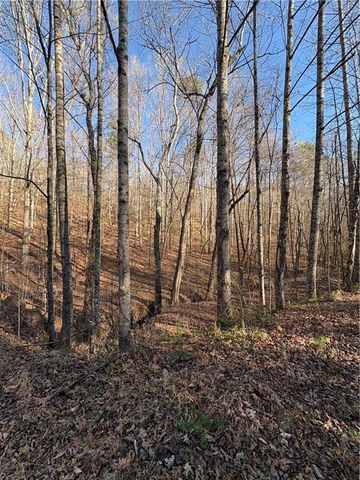 0 Gold View Drive, Dahlonega, GA 30533