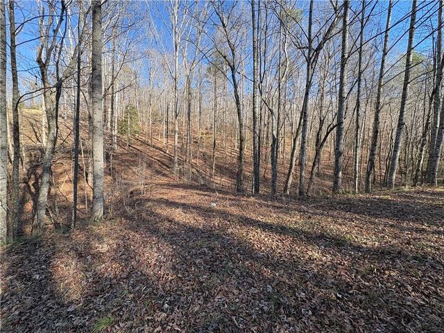 0 Gold View Drive, Dahlonega, GA 30533