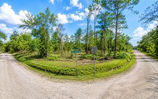 MILLROCK STREET, Webster, FL 33597