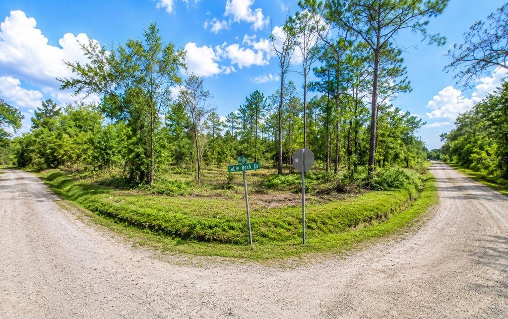 MILLROCK STREET, Webster, FL 33597