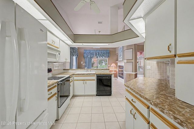 2317 Scenic Hill Drive, Spring Hill, FL 34606