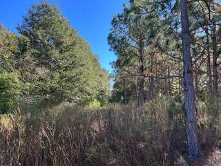 10 +-ac,Lot 1PL Cty Rd 140/ Cty Rd 141, Headland, AL 36345
