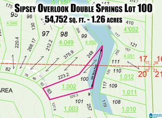 1005 SIPSEY OVERLOOK DRIVE, Double Springs, AL 35553
