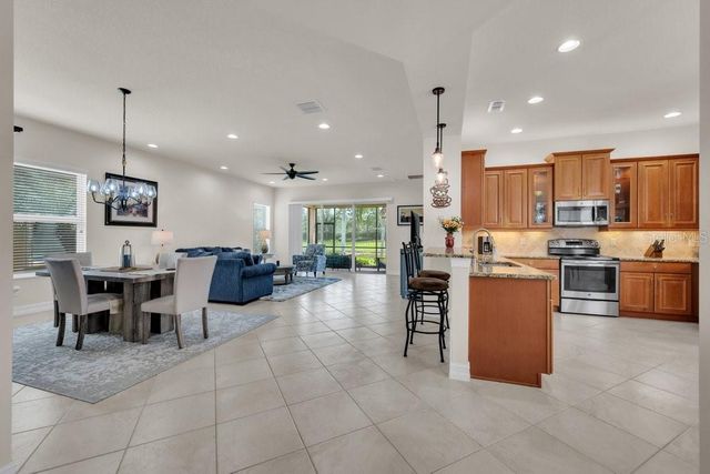15824 AMBER FALLS DRIVE, Wimauma, FL 33598