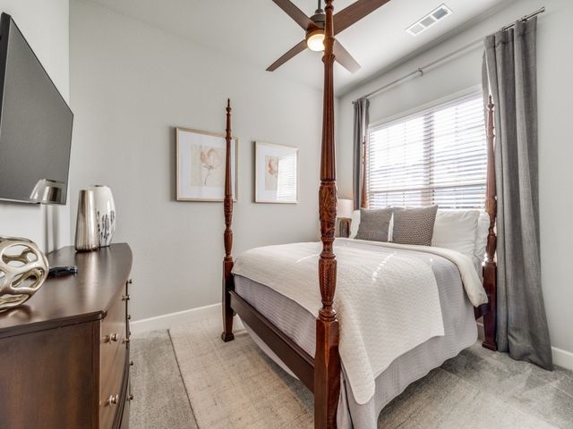 352 Moonvine Drive, Little Elm, TX 75068