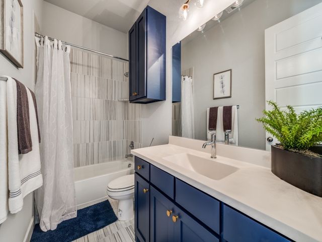 352 Moonvine Drive, Little Elm, TX 75068