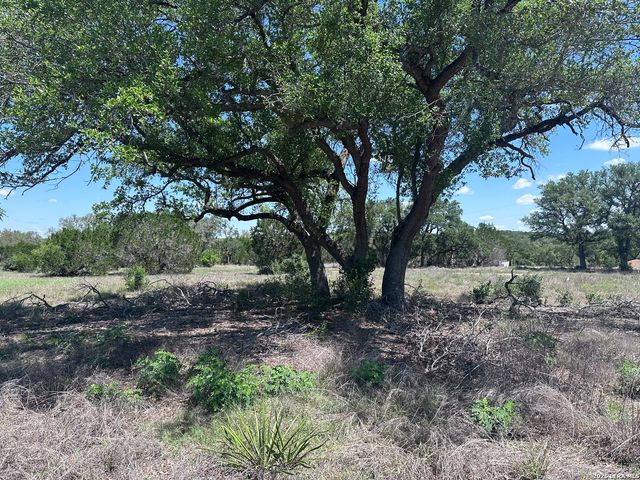 322 Serenity Pass, Spring Branch, TX 78070