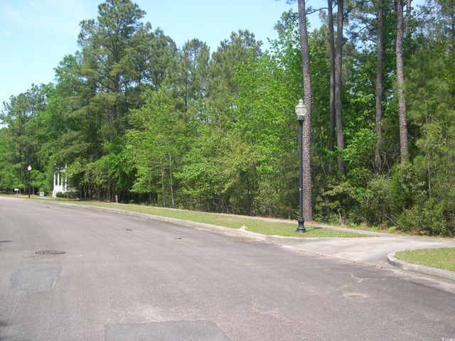 103 Pineberry Dr., Georgetown, SC 29440