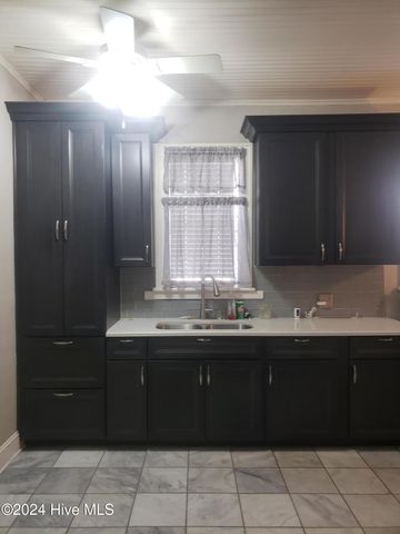213 W Greene Street, Snow Hill, NC 28580