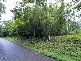 Lot 20 Hazelwood Court, Baneberry, TN 37890