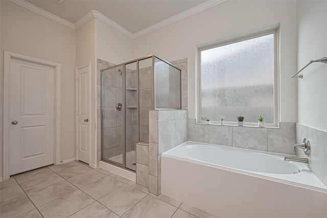 16886 Ramsay Cascades Drive, Humble, TX 77346