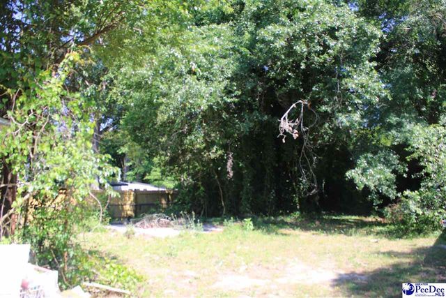 383 W Broad St., Darlington, SC 29536