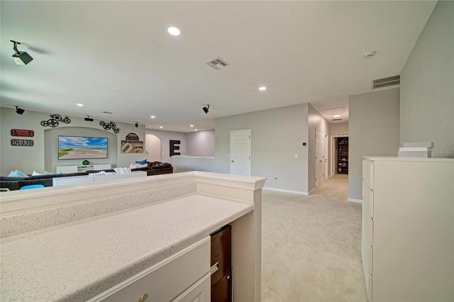 13124 BLISS LOOP, Bradenton, FL 34211