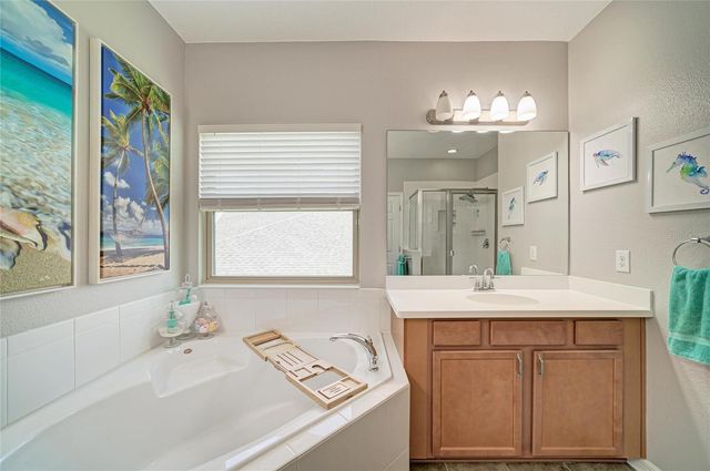 13124 BLISS LOOP, Bradenton, FL 34211