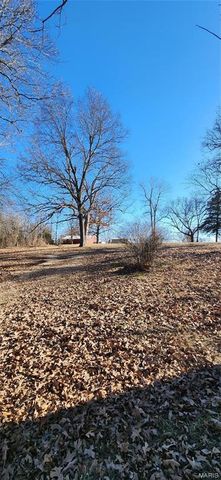 411 11th Street, Crocker, MO 65452