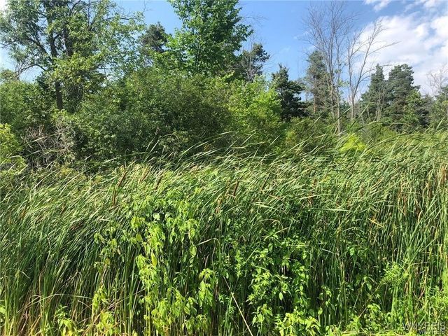 VL East River, Grand Island, NY 14072