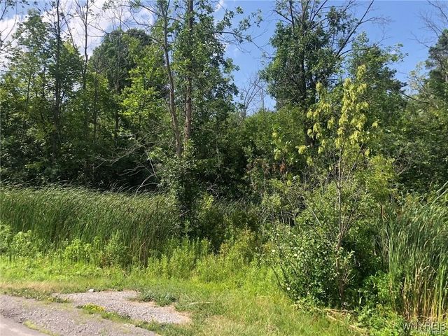 VL East River, Grand Island, NY 14072