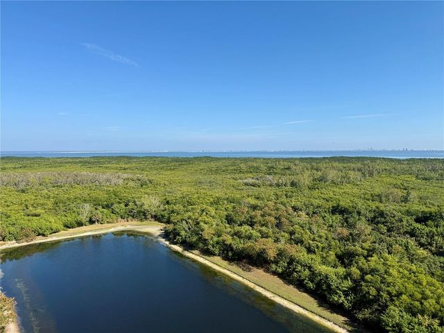 10851 MANGROVE CAY LANE NE 1212, St Petersburg, FL 33716