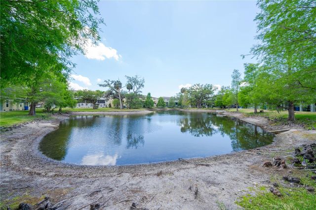 4409 TUSCAN LOON DRIVE, Tampa, FL 33619