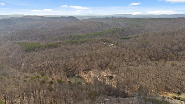 1250 Owl Hollow Road, Mcdonald, TN 37353