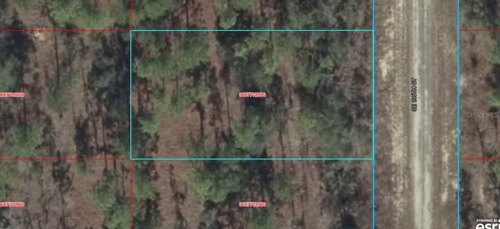 06877-028-00 SE 135TH COURT, Dunnellon, FL 34431
