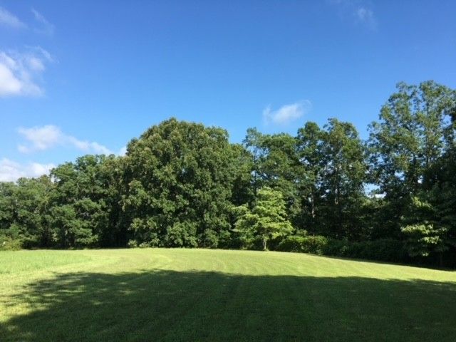 7838 Shoals Branch Rd, Primm Springs, TN 38476