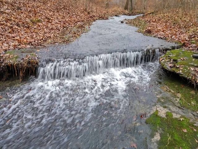 7838 Shoals Branch Rd, Primm Springs, TN 38476