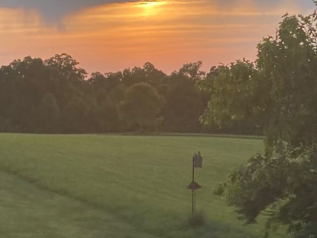 7838 Shoals Branch Rd, Primm Springs, TN 38476