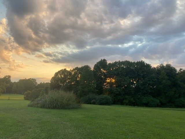 7838 Shoals Branch Rd, Primm Springs, TN 38476