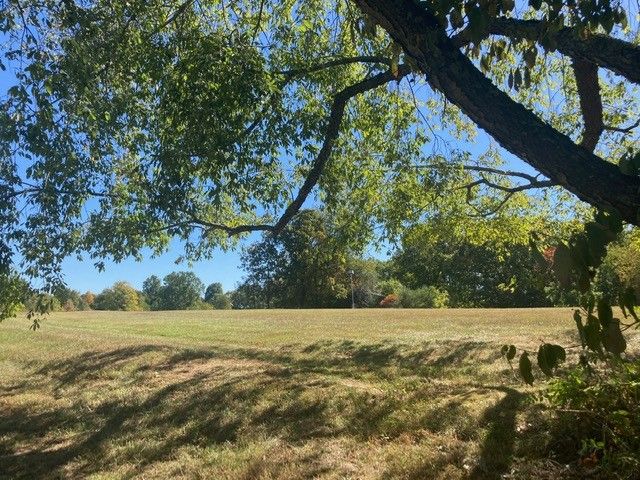 7838 Shoals Branch Rd, Primm Springs, TN 38476