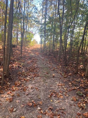 7838 Shoals Branch Rd, Primm Springs, TN 38476