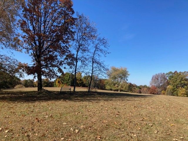 7838 Shoals Branch Rd, Primm Springs, TN 38476