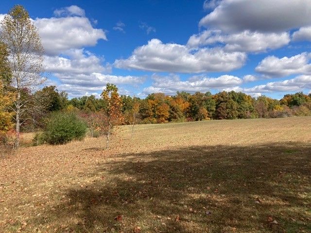 7838 Shoals Branch Rd, Primm Springs, TN 38476