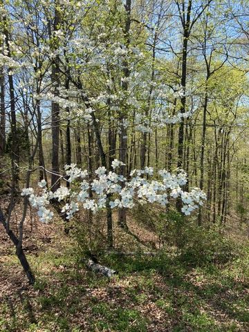 7838 Shoals Branch Rd, Primm Springs, TN 38476