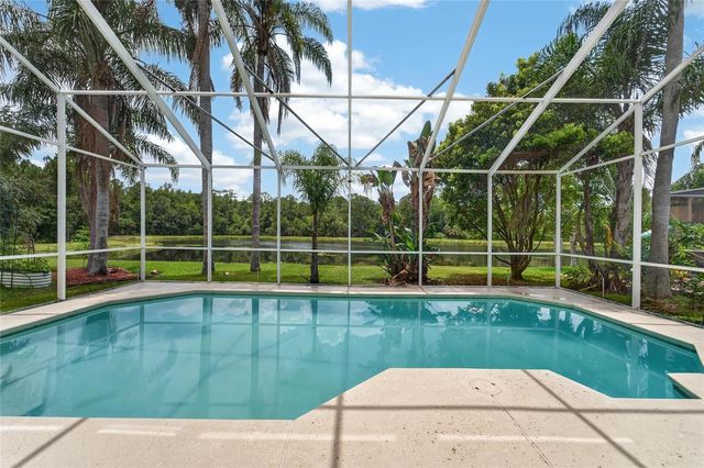 19128 MEADOW PINE DRIVE, Tampa, FL 33647